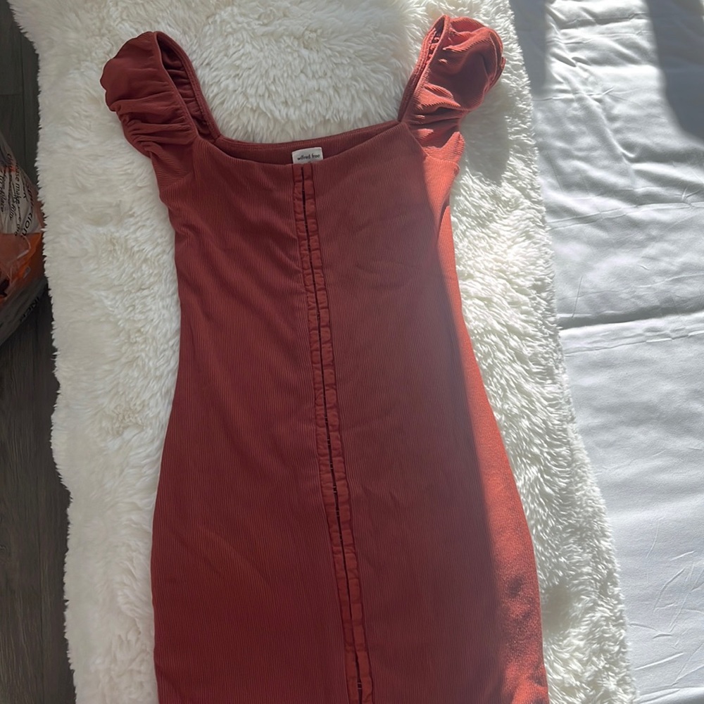 Aritzia dress